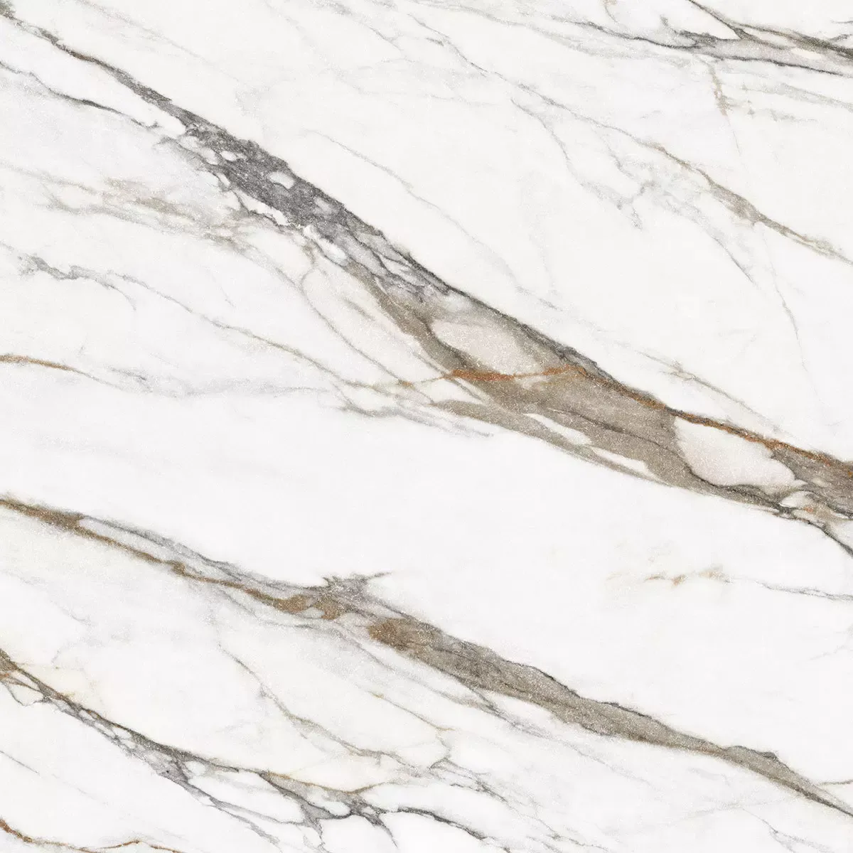Blanc borghini