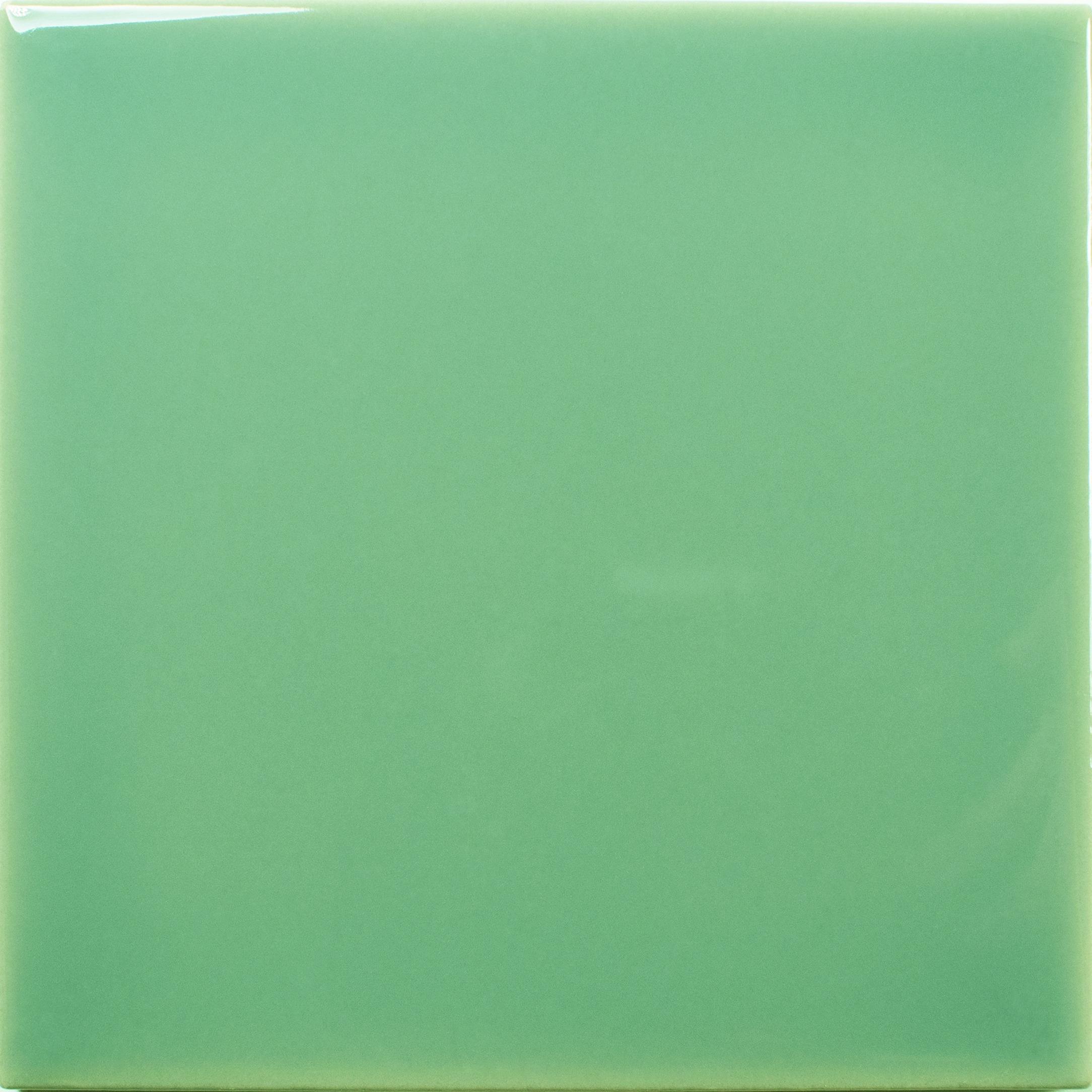Fayenza square fern gloss 12.5x12.5
